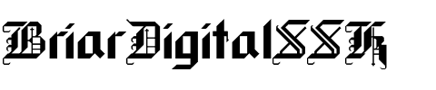 BriarDigitalSSK Regular.ttf
