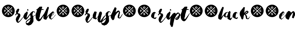 Bristle Brush Script Black Demo Regular.ttf