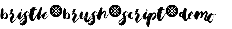 Bristle Brush Script Demo Regular.ttf