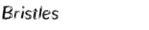 Bristles Regular.ttf