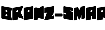 Bronz Regular.ttf