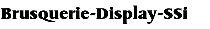 Brusquerie Display SSi Regular.ttf