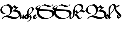 BucheSSK Bold.ttf