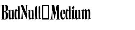 BudNull Medium.ttf