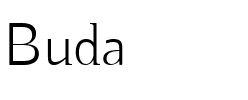 Buda light.ttf
