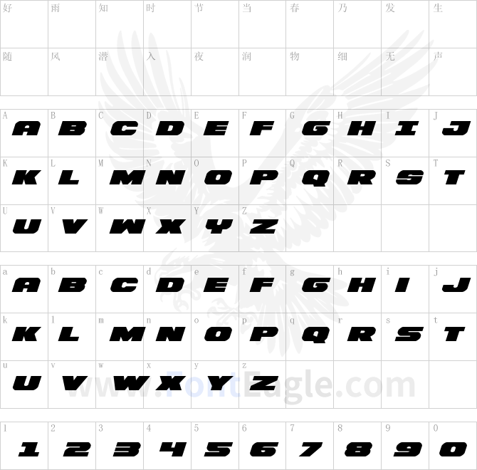 Bummer-Expanded-Italic