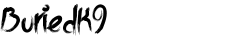 BuriedK9 Normal.ttf