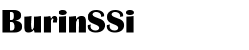 BurinSSi Regular.ttf