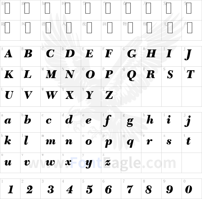 C651-Roman-Black-Italic