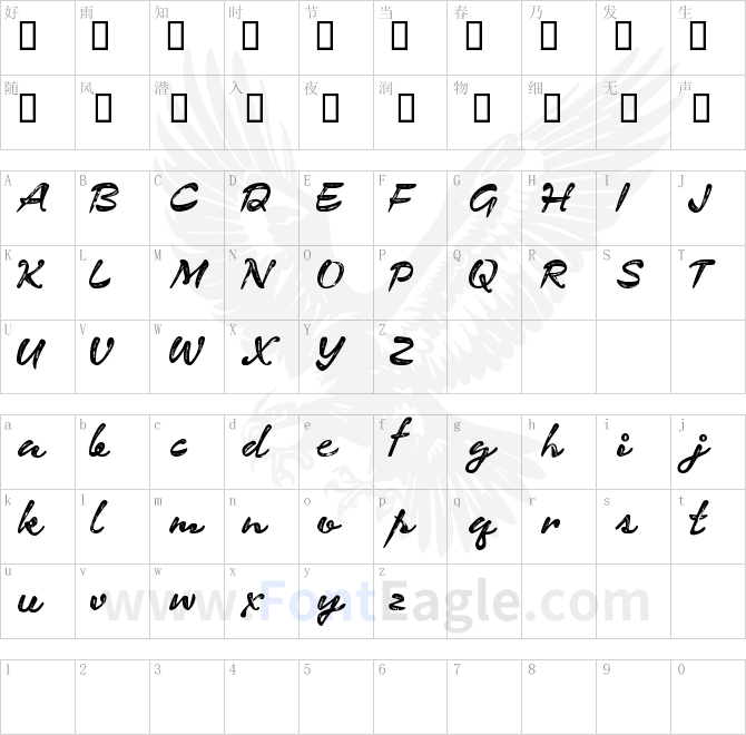 CF-Expedition-Regular