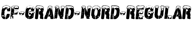 CF Grand Nord Regular.ttf