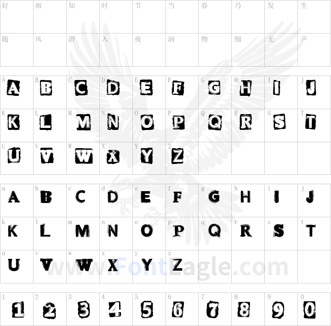 CF-Punk-Attitude-Regular