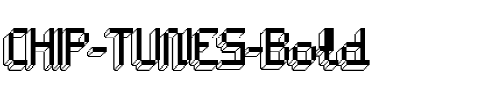 CHIP TUNES Bold.ttf