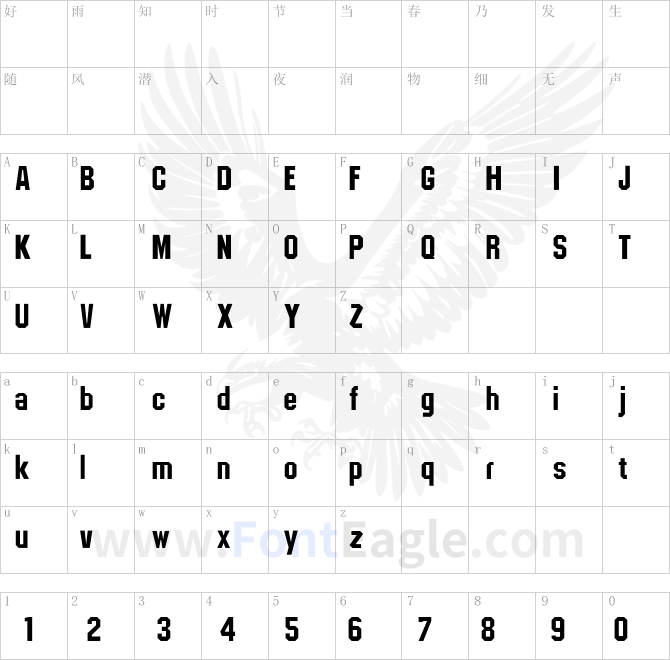 CSD-Block-Bold-copy-2-