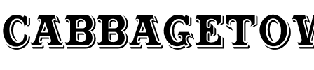 CabbagetownStd Regular.ttf