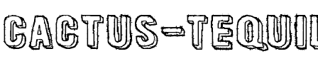 Cactus Tequila Normal.ttf