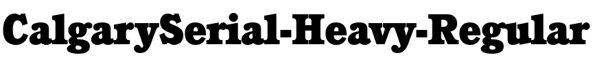 CalgarySerial-Heavy Regular.ttf