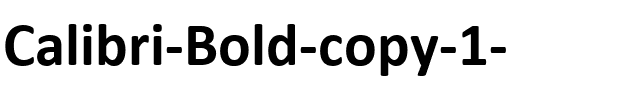 Calibri Bold.ttf