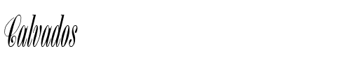 Calvados Regular.ttf