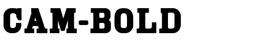 Cam Bold.ttf