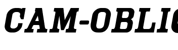 Cam Oblique.ttf