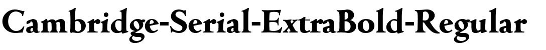 Cambridge-Serial-ExtraBold Regular.ttf