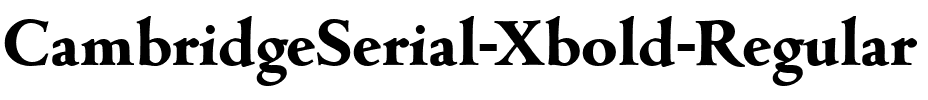 CambridgeSerial-Xbold Regular.ttf