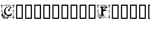 Capitular Floral Regular.ttf