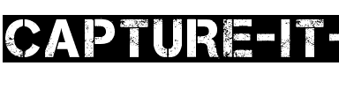 Capture it 2 Normal.ttf