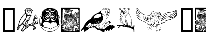 Carsten'sOwls Regular.ttf