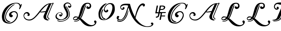Caslon Calligraphic Initials Regular.ttf