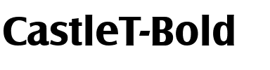 CastleT Bold.ttf
