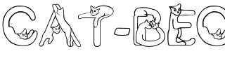 Cat Becker Normal.ttf