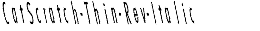 CatScratch Thin Rev Italic Regular.ttf