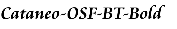 Cataneo OSF BT Bold.ttf