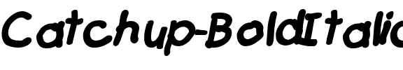Catchup BoldItalic.ttf