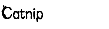Catnip Regular.ttf