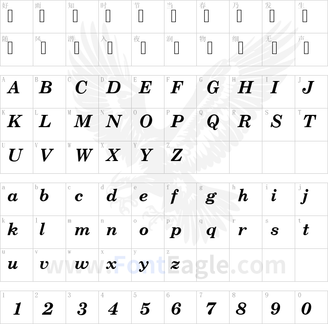 CenturySchTEE-Bold-Italic