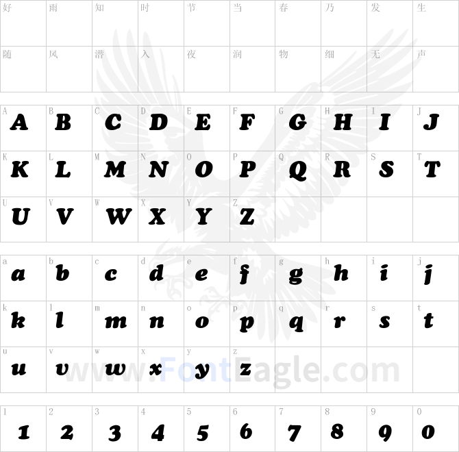 ChaceyBlack-Thin-Italic