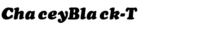 ChaceyBlack-Thin-Italic Regular.ttf