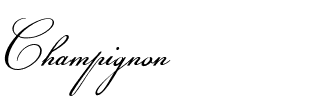 Champignon Regular.ttf