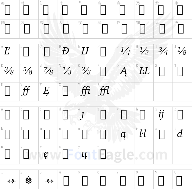 Charter-Ext-BT-Italic-Extension