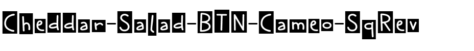 Cheddar Salad BTN Cameo SqRev Regular.ttf