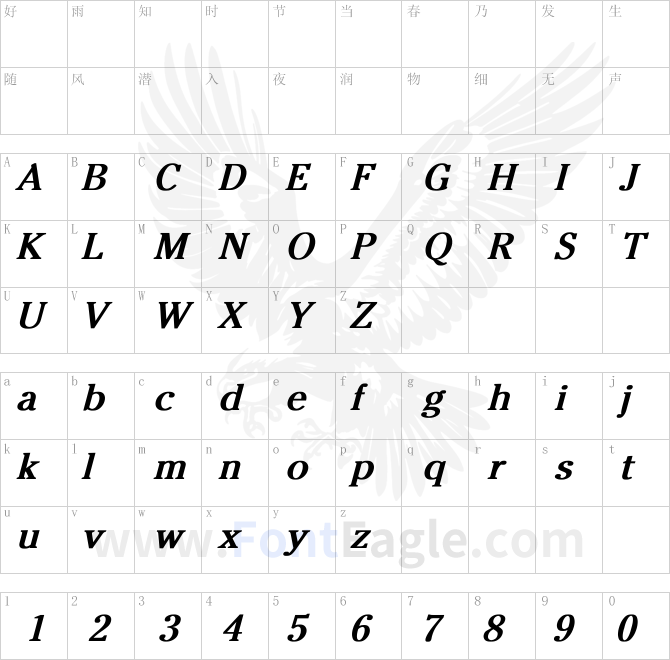 Chiltons-Bold-Italic