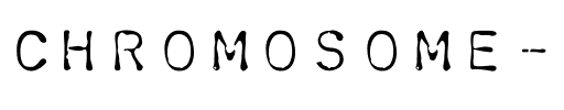 Chromosome Light.ttf