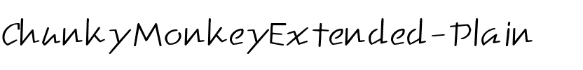 ChunkyMonkeyExtended Plain.ttf