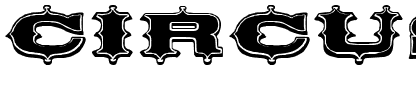 Circus Ornate Regular.ttf