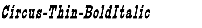 Circus Thin BoldItalic.ttf