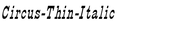 Circus Thin Italic.ttf