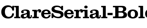 ClareSerial Bold.ttf